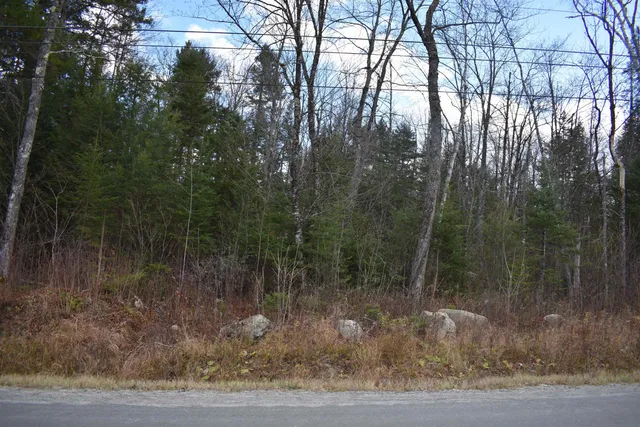 $175,000 | 0 Grafton Pond Road, Enfield, NH 03748