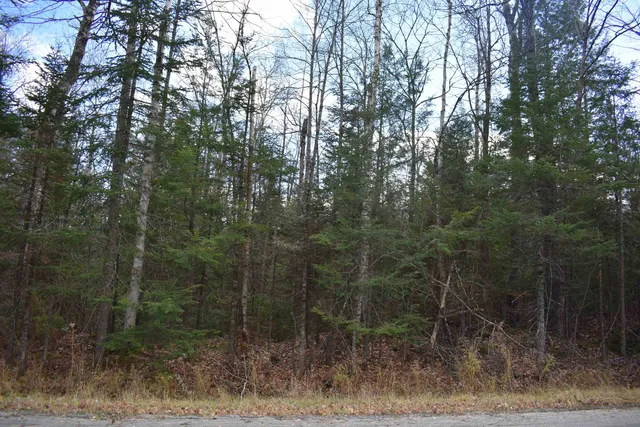 $175,000 | 0 Grafton Pond Road, Enfield, NH 03748