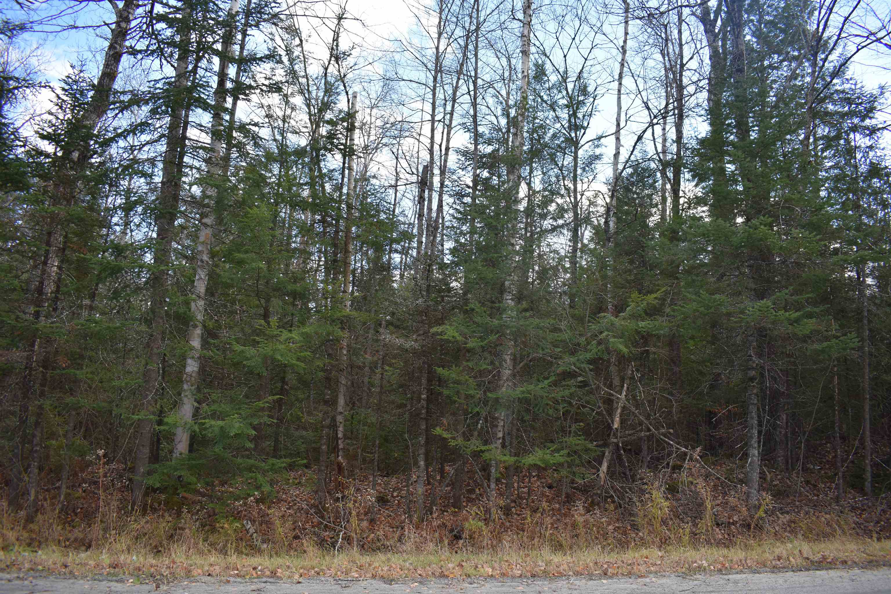 0 Grafton Pond Road Enfield, NH 03748 - Photo 17 of 24