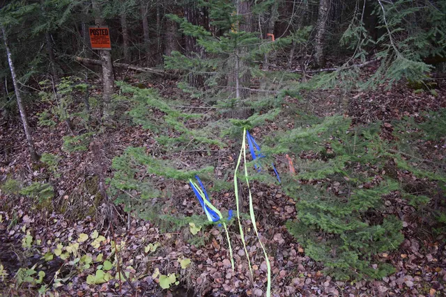 $175,000 | 0 Grafton Pond Road, Enfield, NH 03748