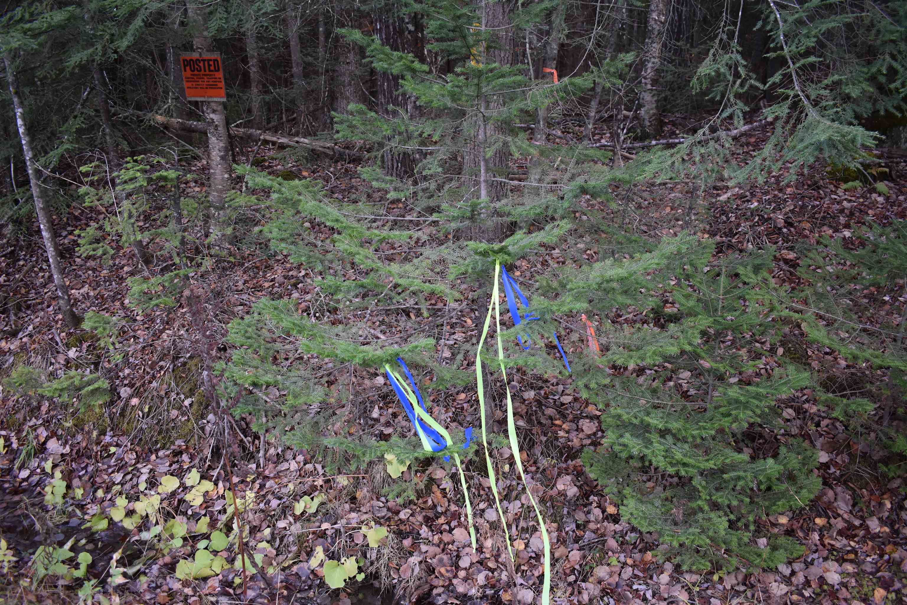 0 Grafton Pond Road Enfield, NH 03748 - Photo 18 of 24