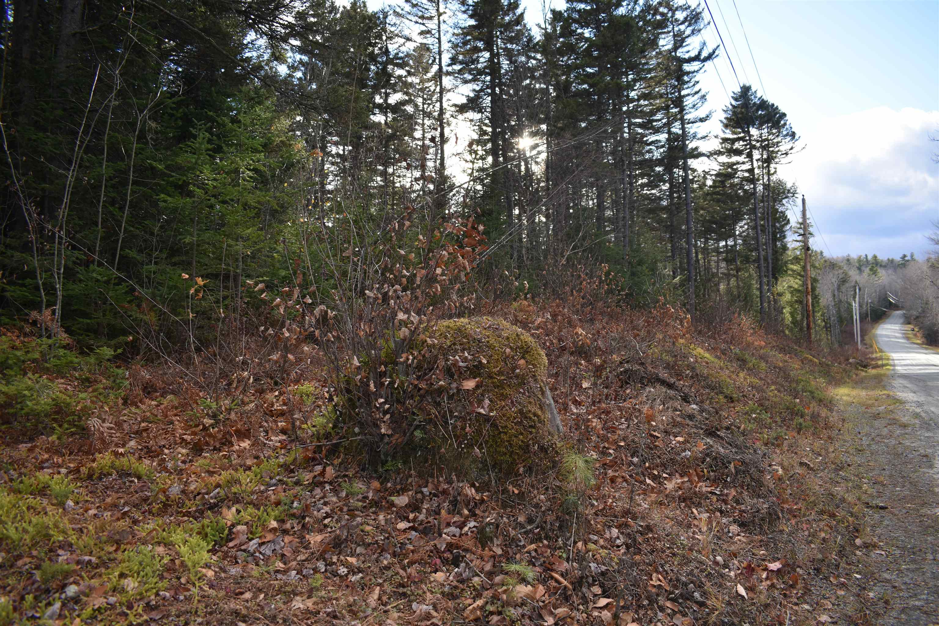 0 Grafton Pond Road Enfield, NH 03748 - Photo 2 of 24