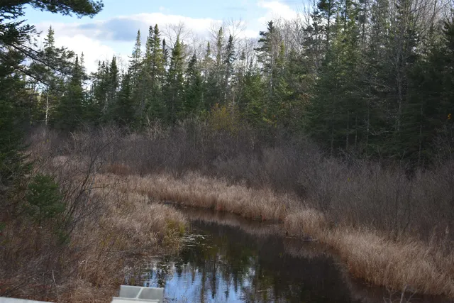 $175,000 | 0 Grafton Pond Road, Enfield, NH 03748