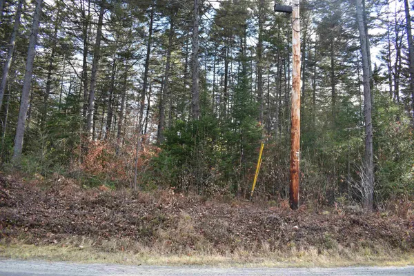$175,000 | 0 Grafton Pond Road, Enfield, NH 03748