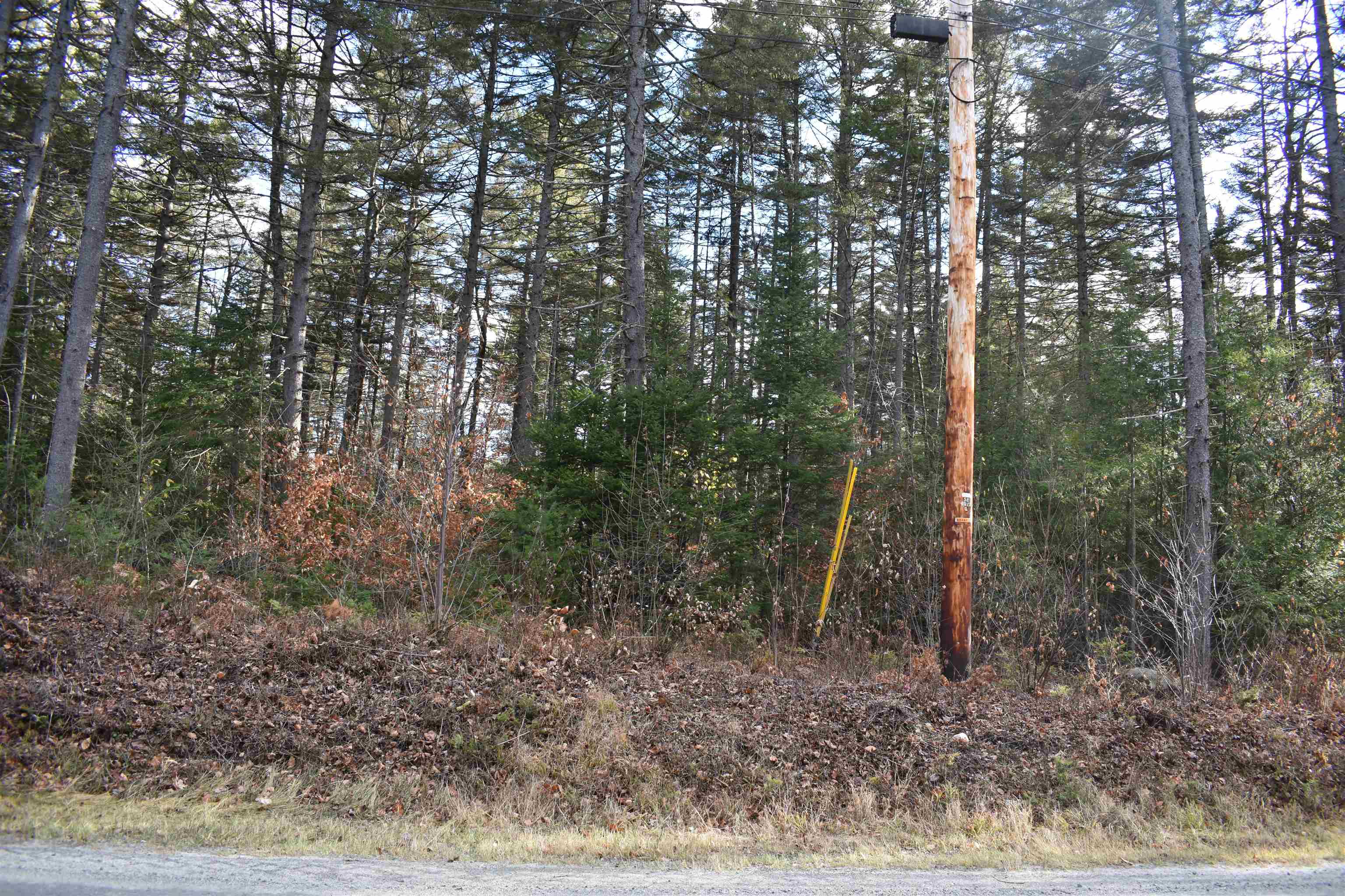 0 Grafton Pond Road Enfield, NH 03748 - Photo 4 of 24