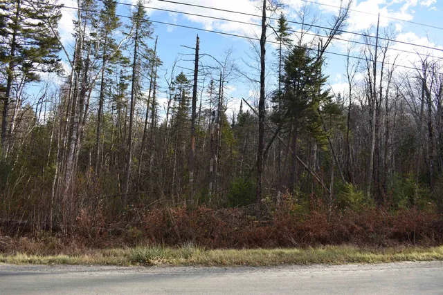$175,000 | 0 Grafton Pond Road, Enfield, NH 03748
