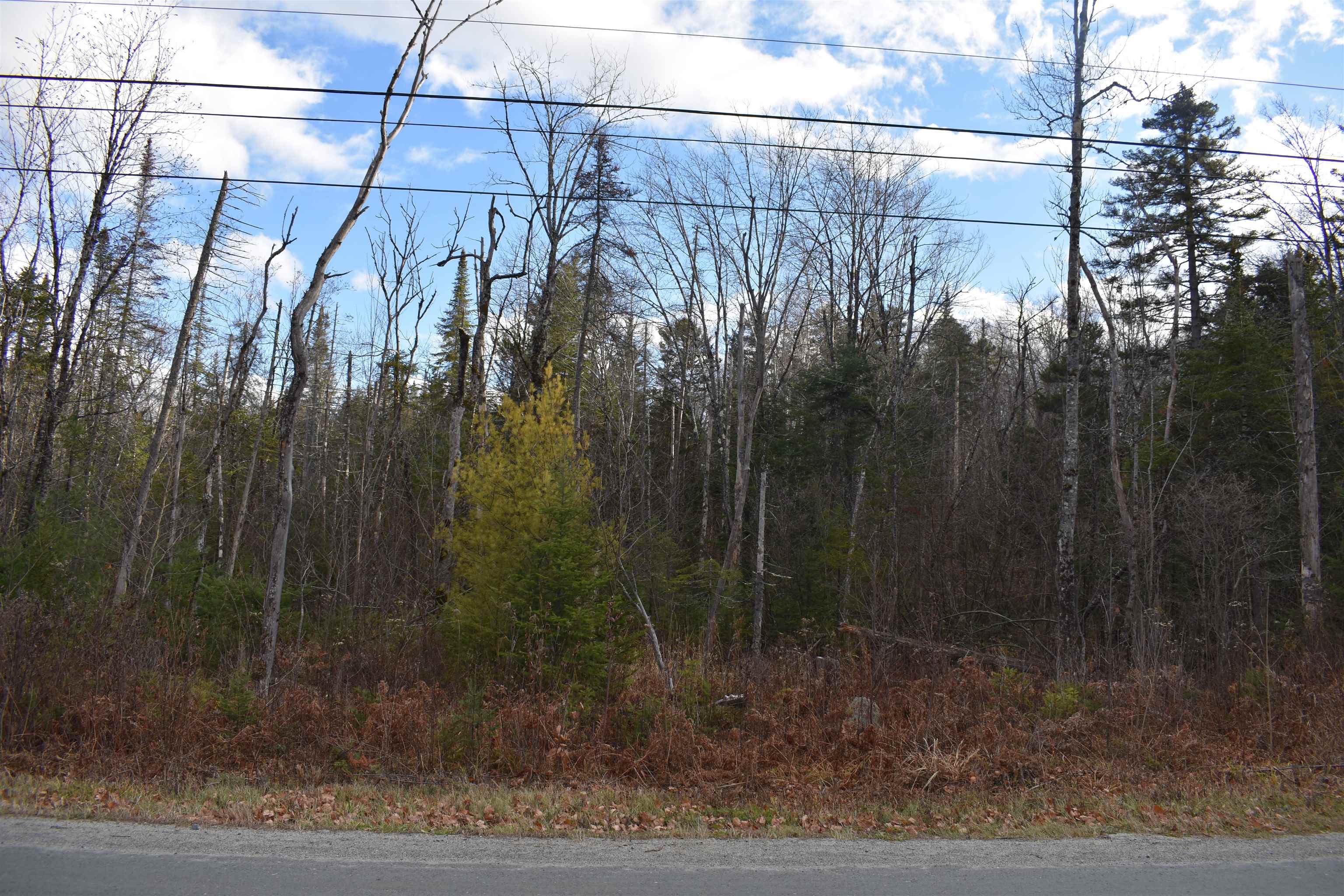 0 Grafton Pond Road Enfield, NH 03748 - Photo 8 of 24