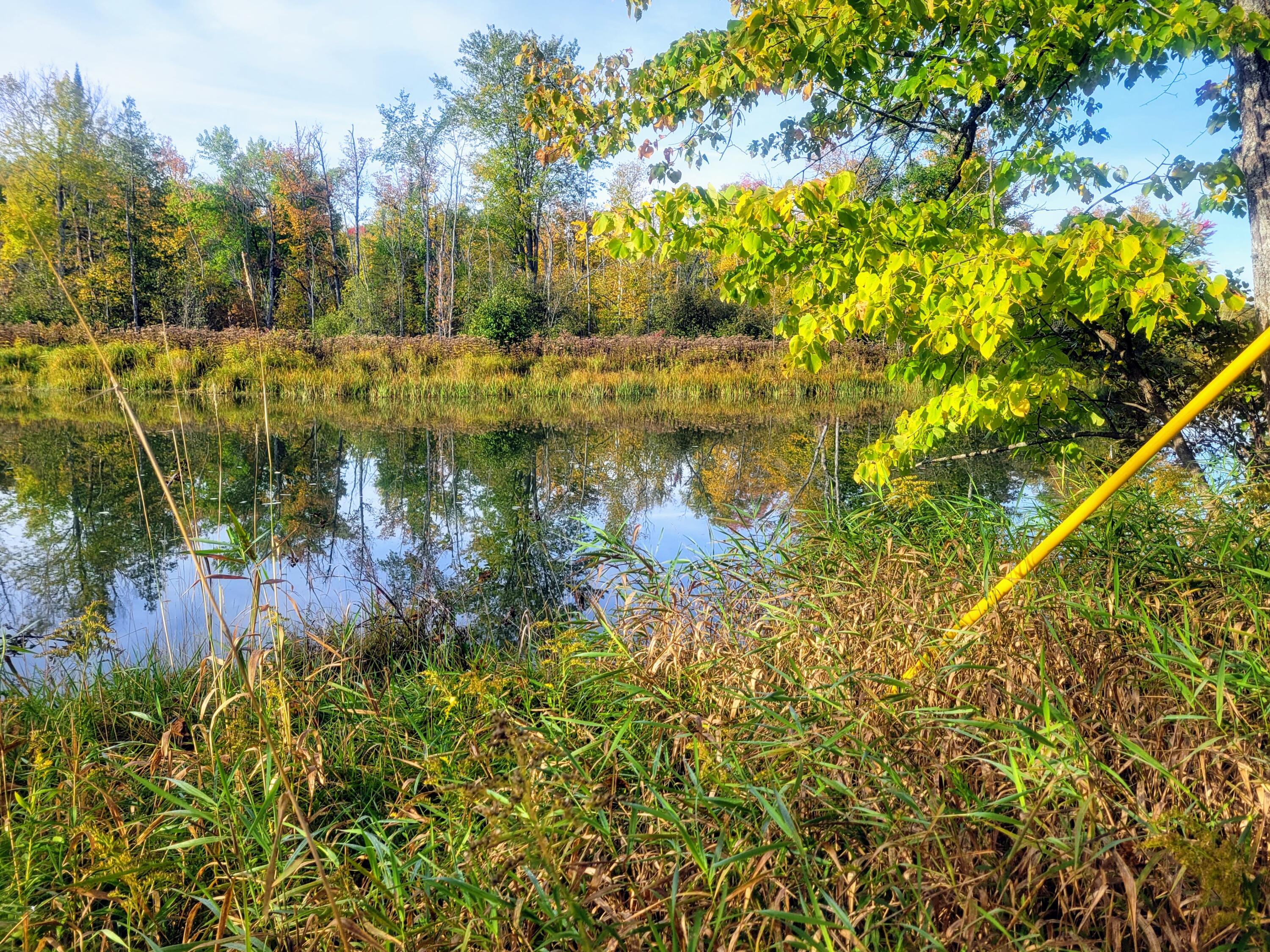 7615 Long Rapids Road Alpena, MI 49707 - Photo 16 of 27 Gallery Image 16