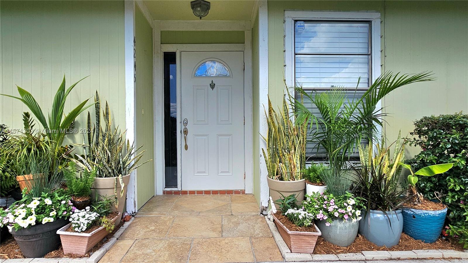 a view of a potted plants in front of a door