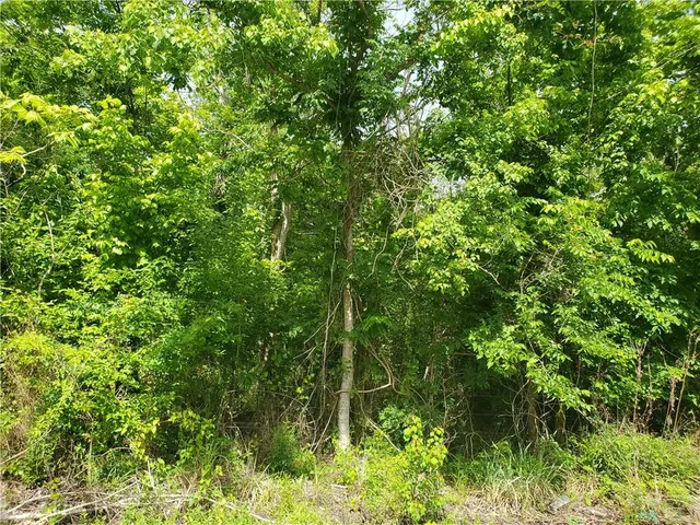 $150,000 | 10850 Willow Drive, New Orleans, LA 70131