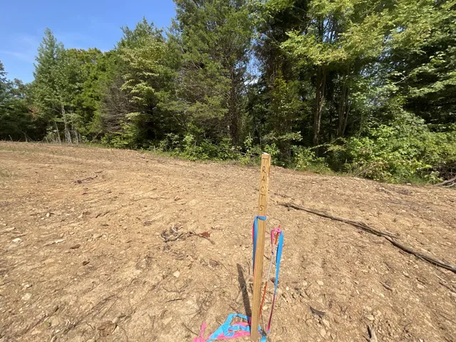 $147,500 | 5 Lyle Hollow Road, Palmyra, TN 37142