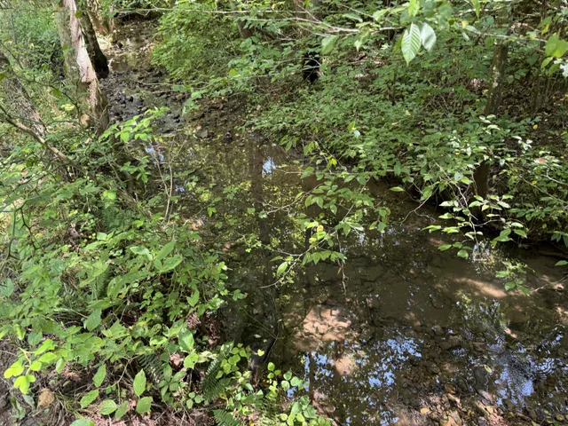 $139,750 | 5 Lyle Hollow Road, Palmyra, TN 37142