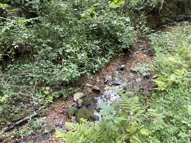 $139,750 | 5 Lyle Hollow Road, Palmyra, TN 37142