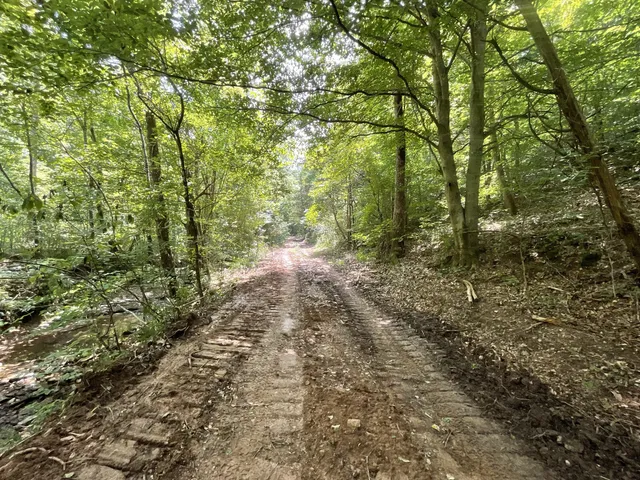 $139,750 | 5 Lyle Hollow Road, Palmyra, TN 37142