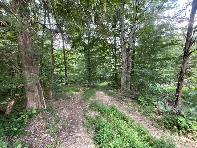 $139,750 | 5 Lyle Hollow Road, Palmyra, TN 37142