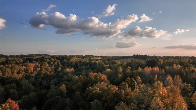 $139,750 | 5 Lyle Hollow Road, Palmyra, TN 37142