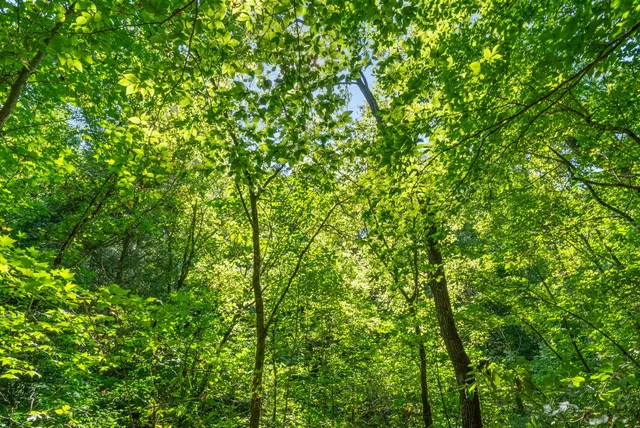 $139,750 | 5 Lyle Hollow Road, Palmyra, TN 37142