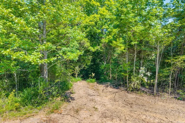 $139,750 | 5 Lyle Hollow Road, Palmyra, TN 37142