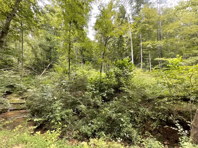 $139,750 | 5 Lyle Hollow Road, Palmyra, TN 37142