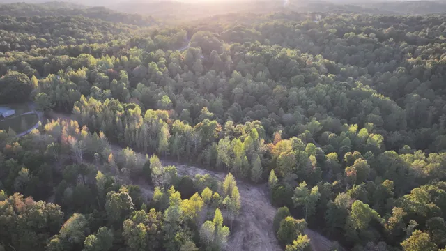 $139,750 | 5 Lyle Hollow Road, Palmyra, TN 37142