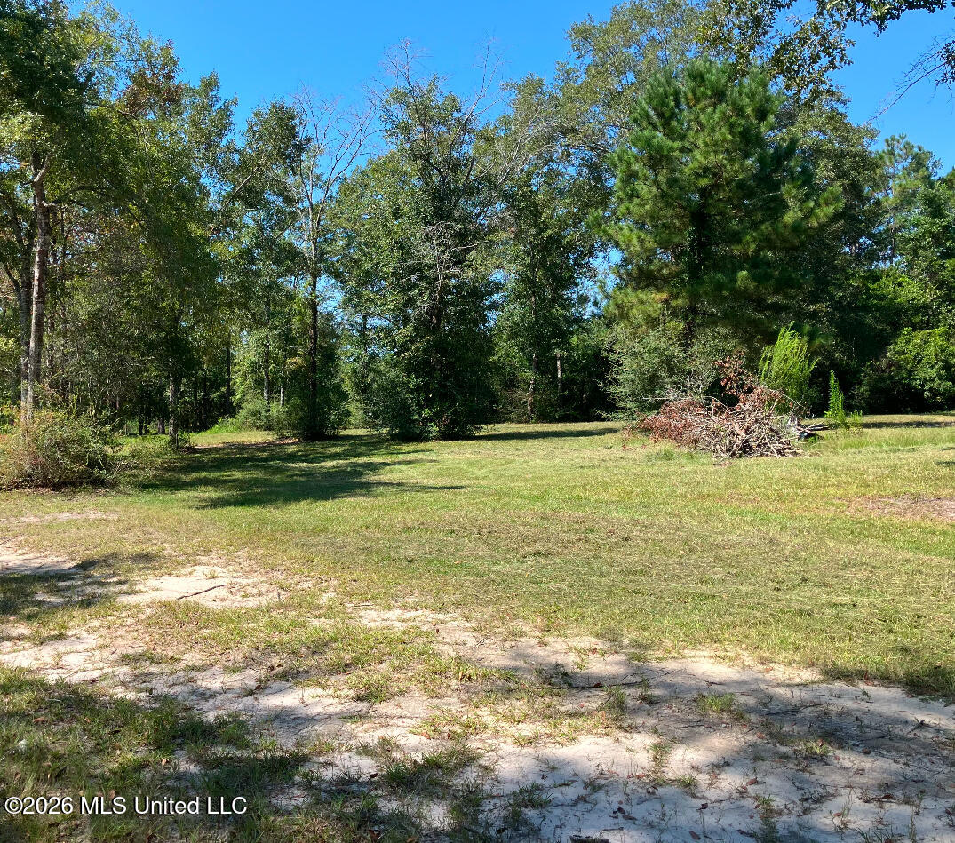 2.88-ac Morrison Road Lucedale, MS 39452 - Photo 7 of 12 IMG_3732