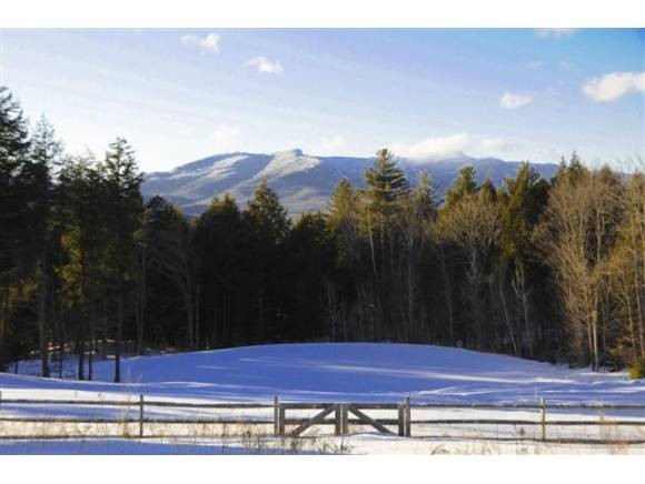 11 Grey Birch Road Stowe, VT 05672 - Photo 1 of 1 Gallery Image 1