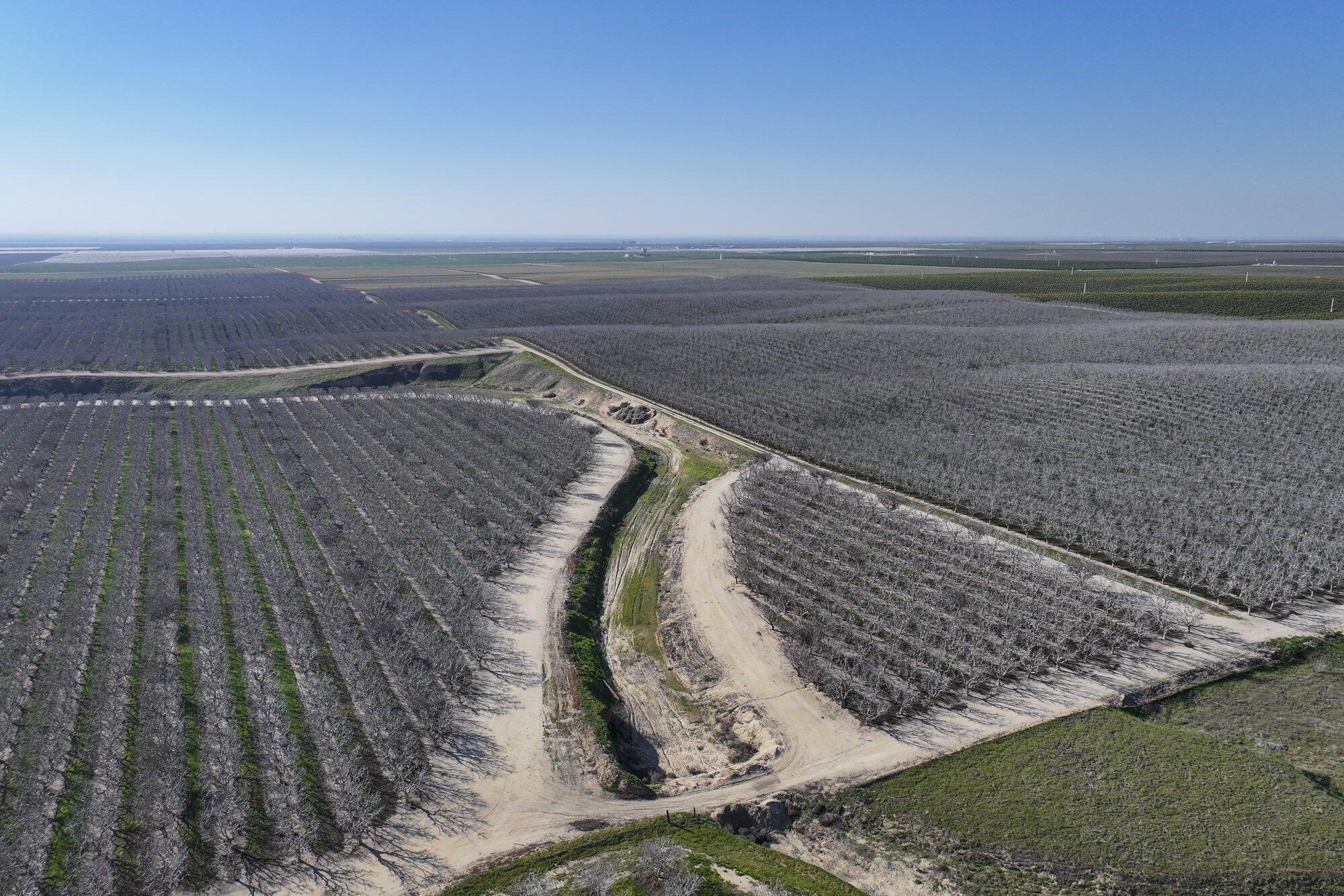 Quality Road Bakersfield, CA 93308 - Photo 9 of 12 2025-02-24-Schuil-Farms-for-Sale-Mcfarla