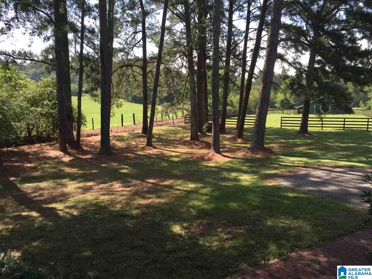 366 Parker Road Cropwell, AL 35054 - Photo 24 of 46