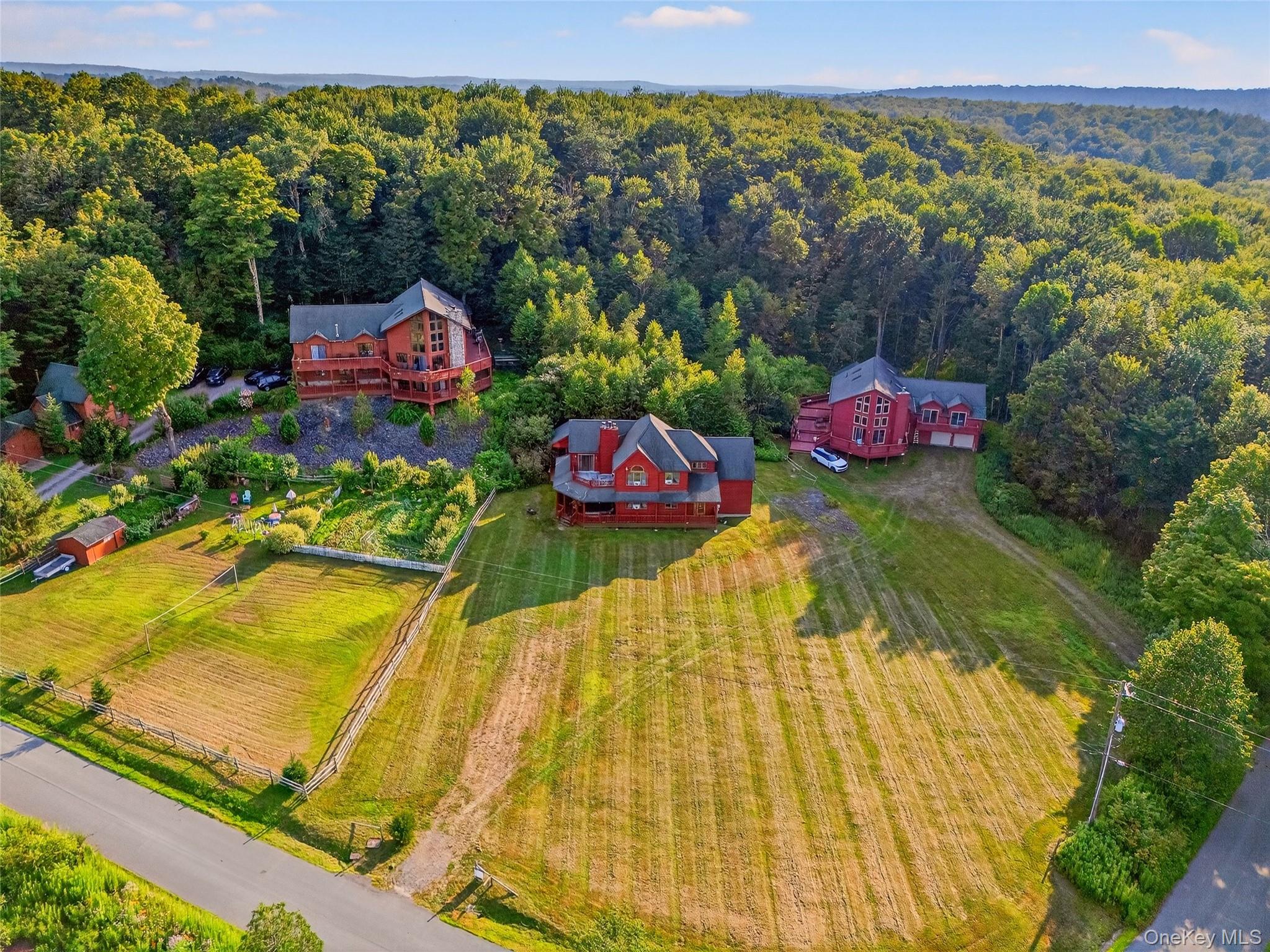 987 Hurd Road Jeffersonville, NY 12748 - Photo 3 of 50 a view of a swimming pool and an outdoor space