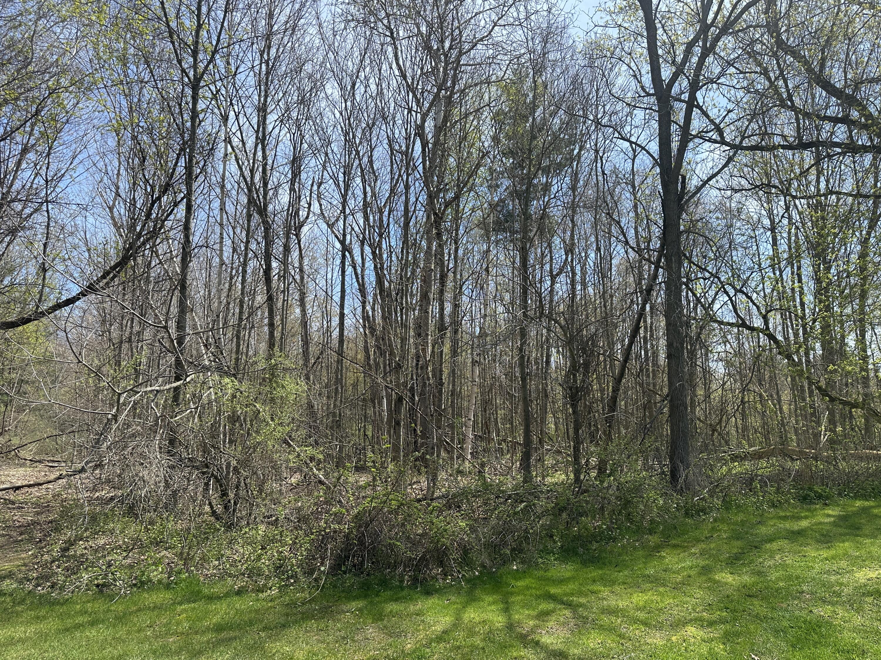 Atkins Road North Street, MI 48049 - Photo 15 of 15 IMG_6286