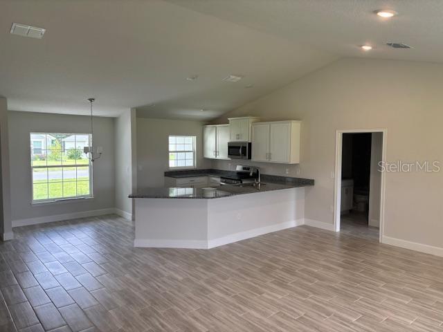 7781 Southwest 180th Circle Dunnellon, FL 34432 - Photo 5 of 20 a large kitchen with stainless steel appliances granite countertop a dishwasher and a stove with wooden floor