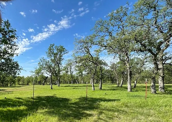 $295,000 | Lot 2 Rhonda Road, Anderson, CA 96007