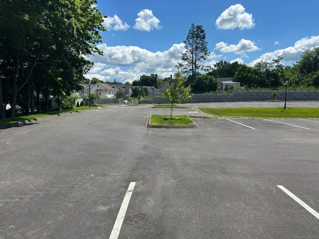 a view of a playground with a large tree