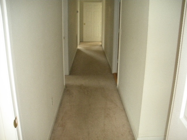 1708 Rinacas Corner Road Shenandoah, VA 22849 - Photo 13 of 15 Gallery Image 13