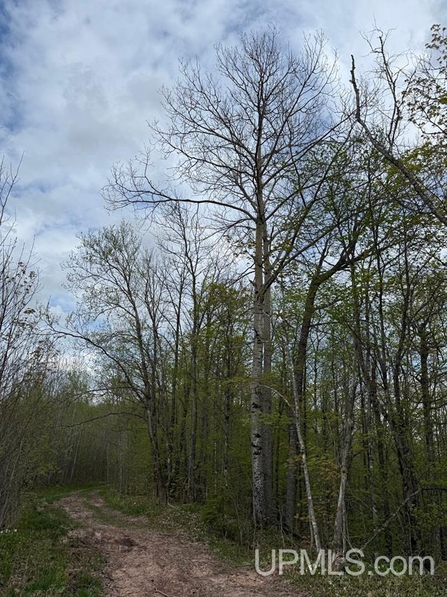 Tbd1948 Victoria Dam Road Rockland, MI 49960 - Photo 11 of 20
