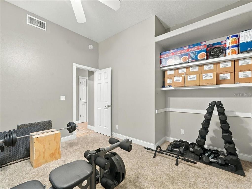 18829 Geraci Road Lutz, FL 33548 - Photo 53 of 77 Gallery Image 53