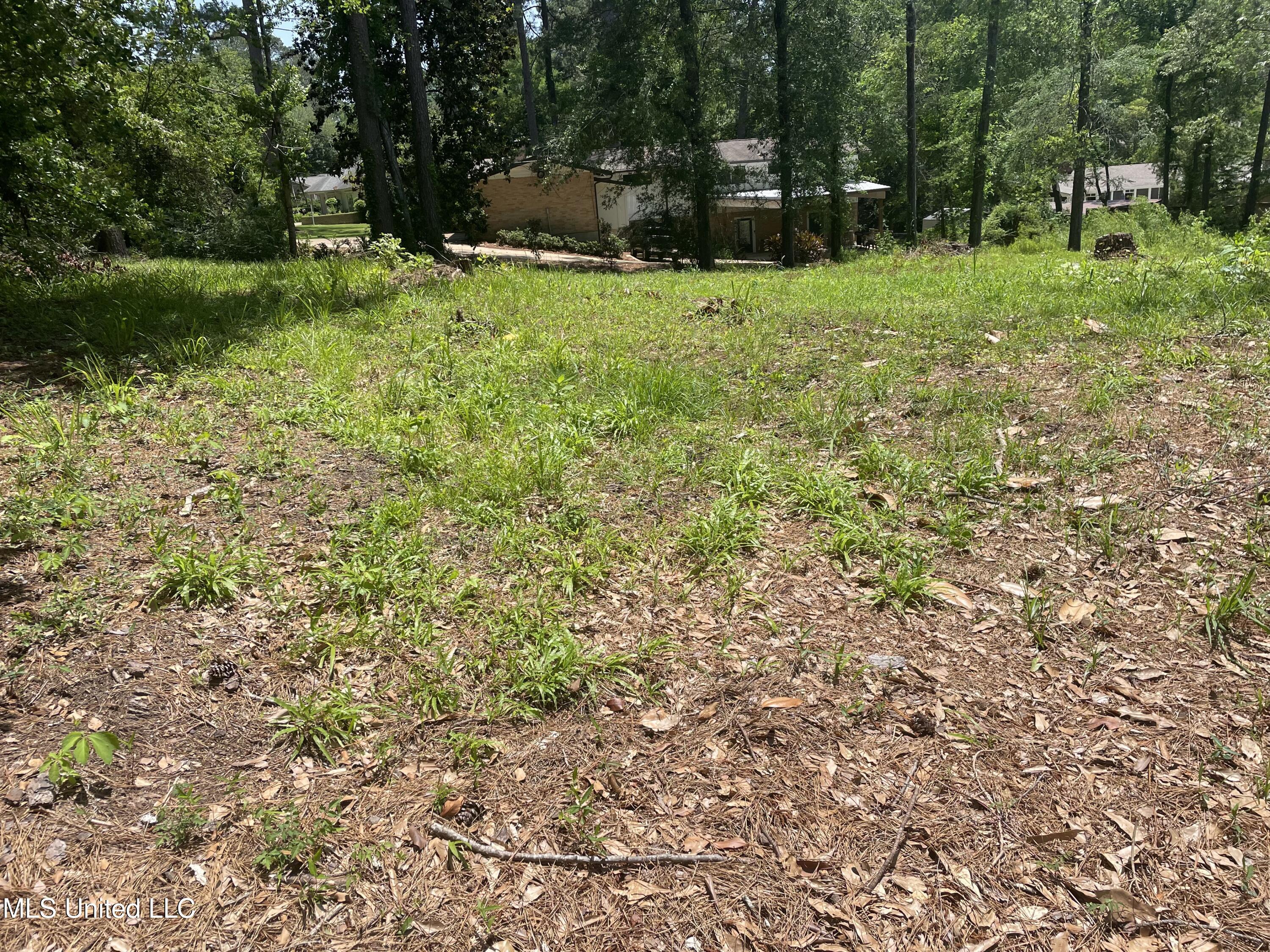 0 Roxbury Place Jackson, MS 39211 - Photo 2 of 3 IMG_0677