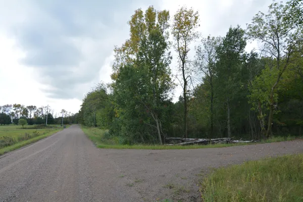 $109,000 | Tbd 130th Avenue, Milaca, MN 56353