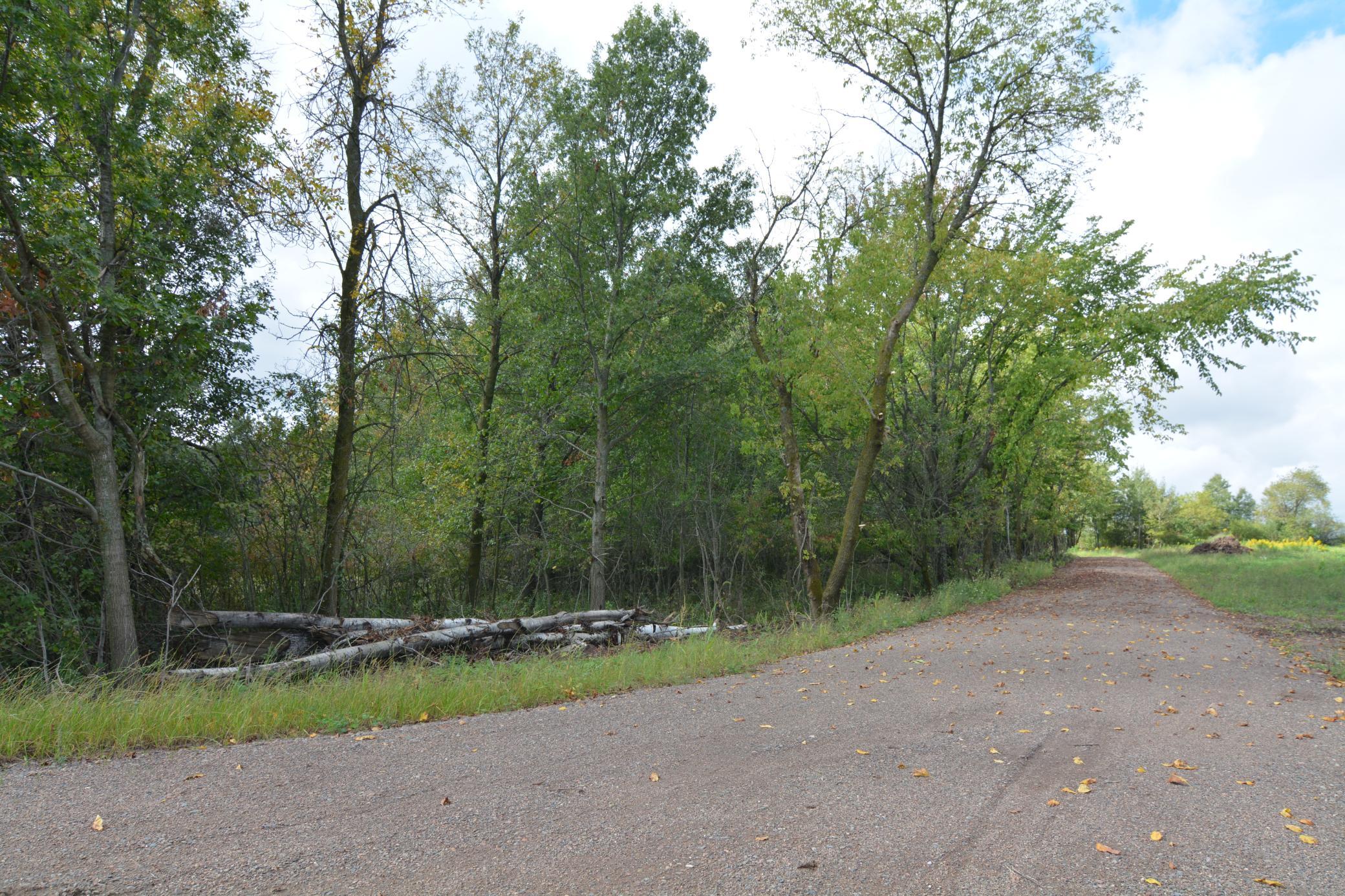 Tbd 130th Avenue Milaca, MN 56353 - Photo 3 of 14