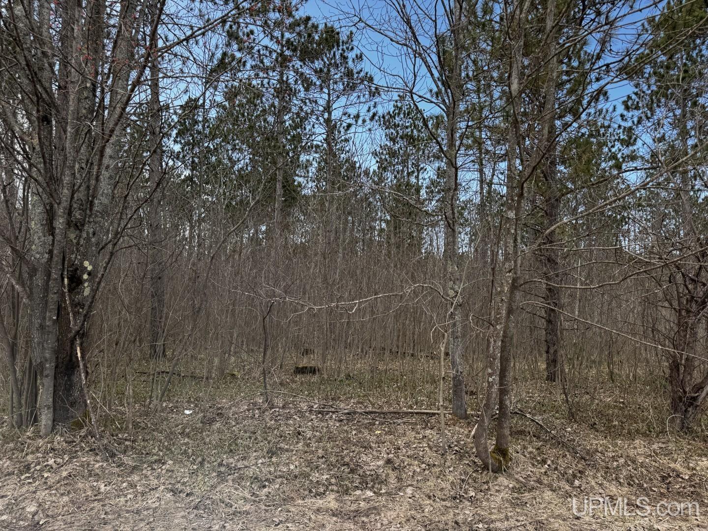 36431 Daniels Road Ontonagon, MI 49953 - Photo 22 of 27