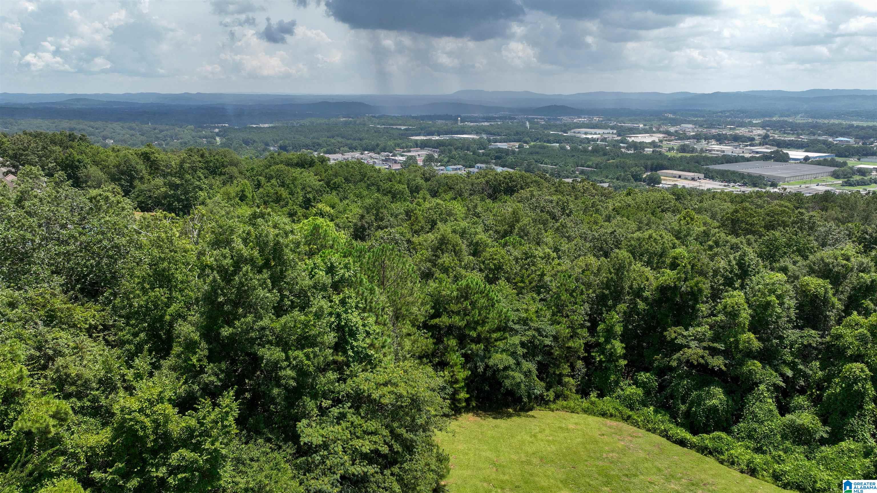 908 Hillyer High Road Anniston, AL 36207 - Photo 50 of 66