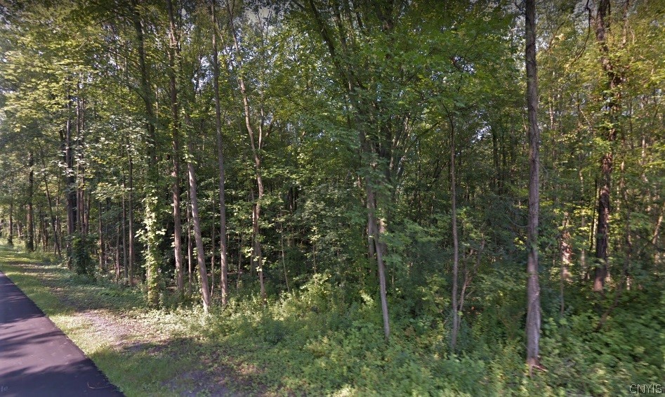 0 Weaver Road Sullivan, NY 13037 - Photo 1 of 1 Gallery Image 1