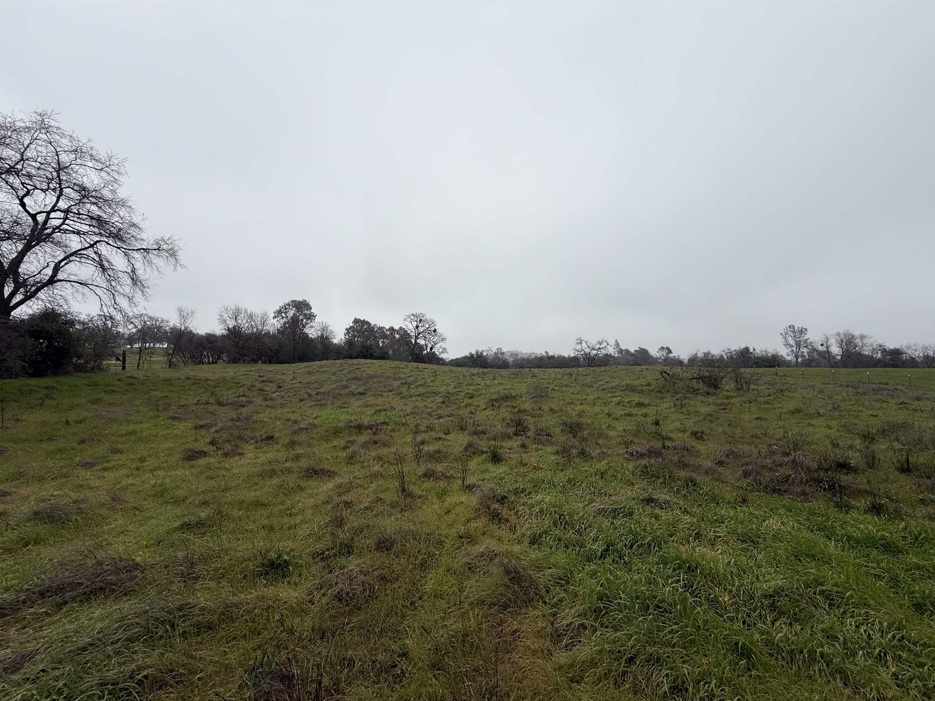 5893 Fruitland Road Marysville, CA 95901 - Photo 32 of 35 a view of a field with an ocean