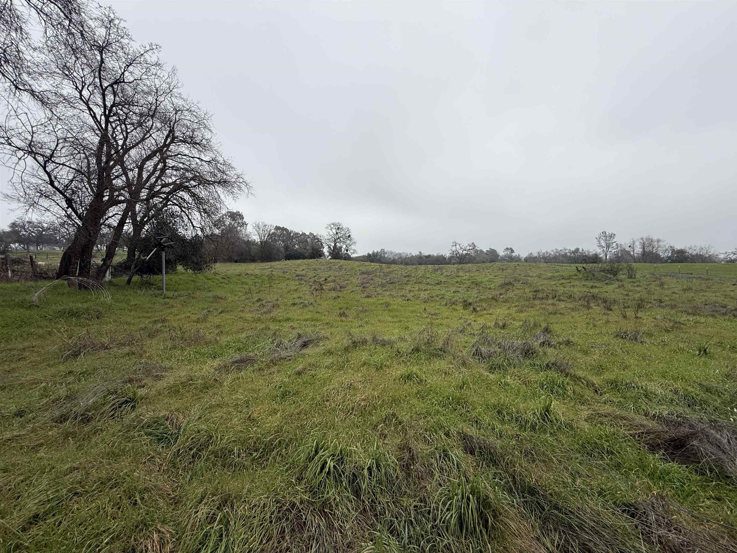 5893 Fruitland Road Marysville, CA 95901 - Photo 34 of 35 a view of a field with an ocean