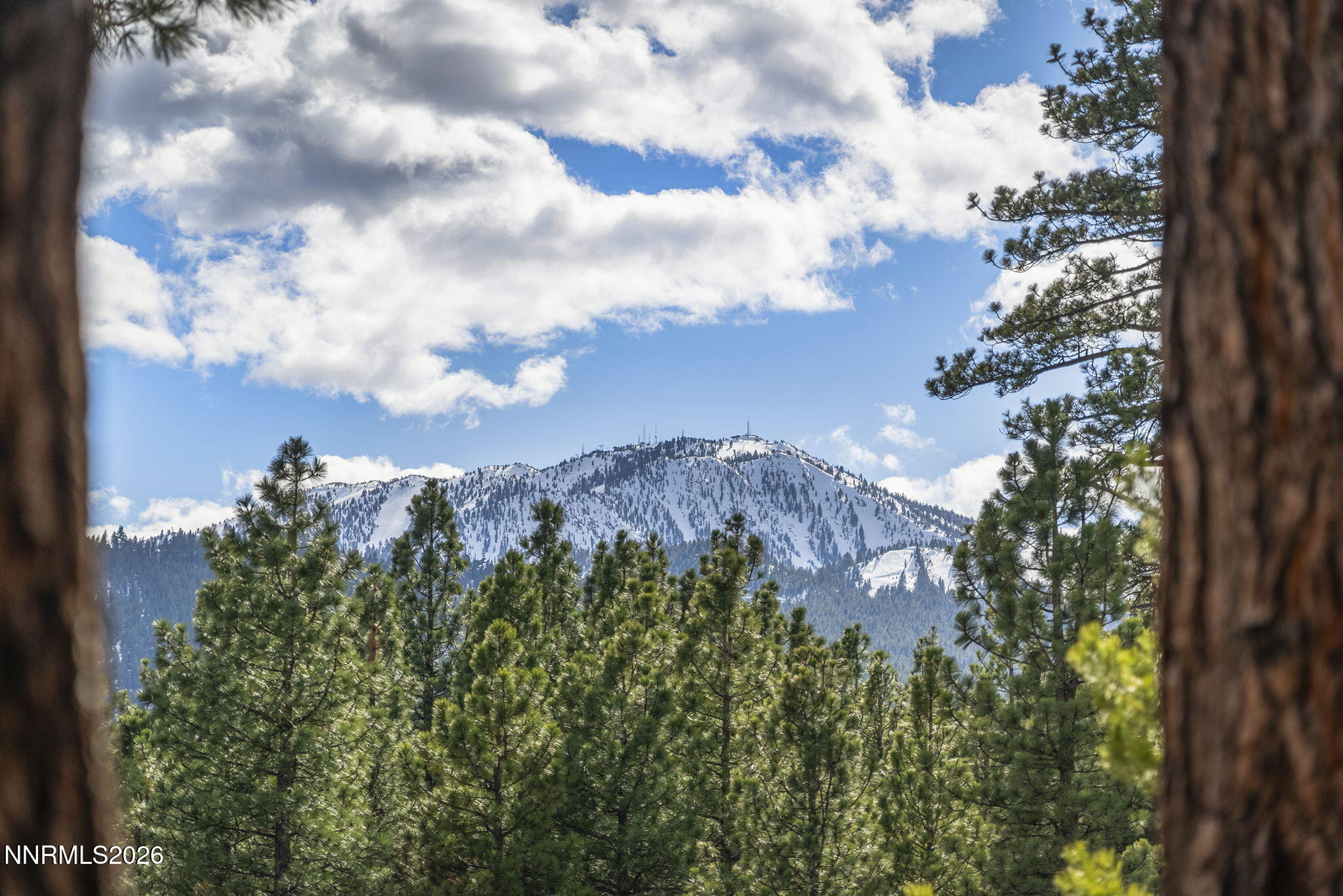 16911 Mt Rose Highway Reno, NV 89511 - Photo 29 of 33 30-web-or-mls-_DSC1504