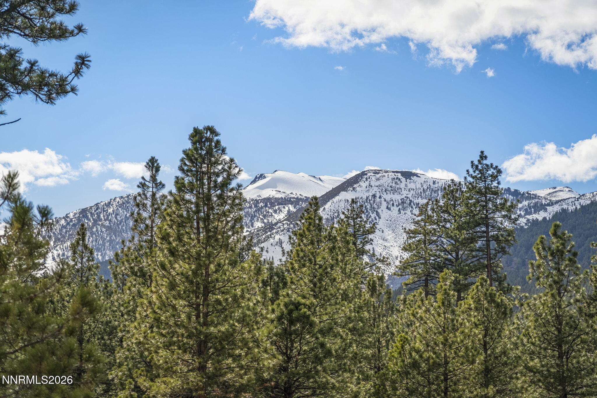 16911 Mt Rose Highway Reno, NV 89511 - Photo 30 of 33 31-web-or-mls-_DSC1507