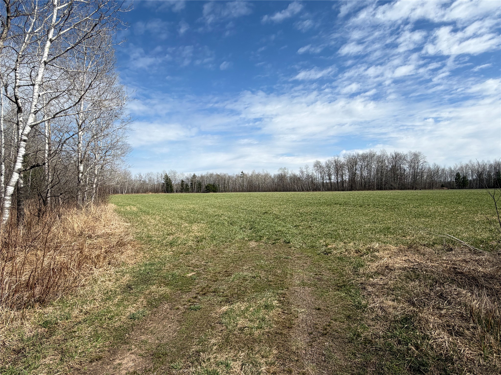 N4280 County Road East Bruce, WI 54819 - Photo 31 of 49