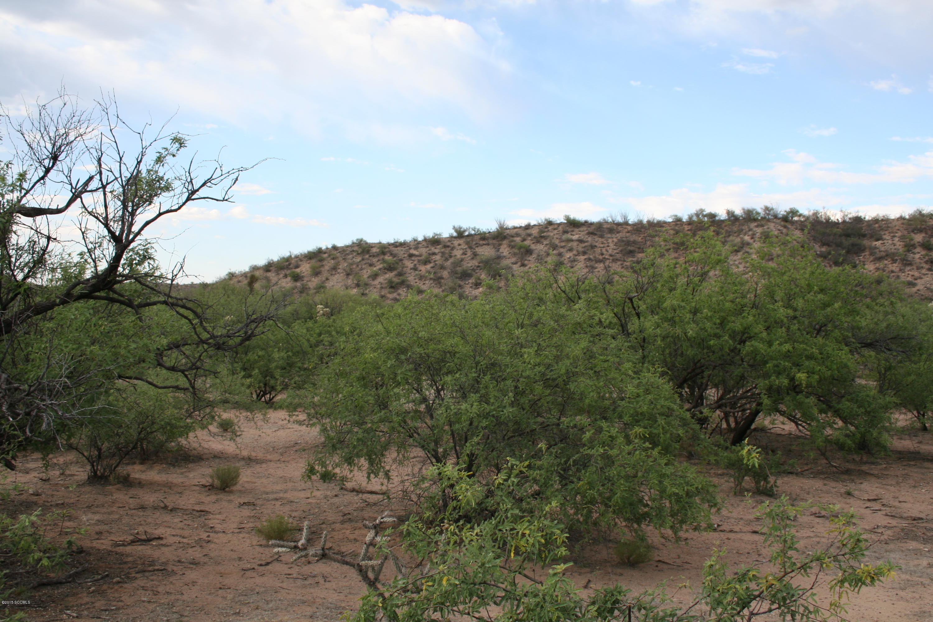 Tbd Tbd Chavez Siding Road, Unit 3 Tubac, AZ 85646 - Photo 8 of 10 IMG_3835