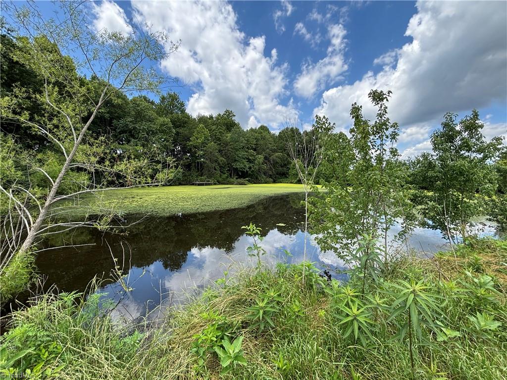 460 Greene Road Dobson, NC 27017 - Photo 16 of 49