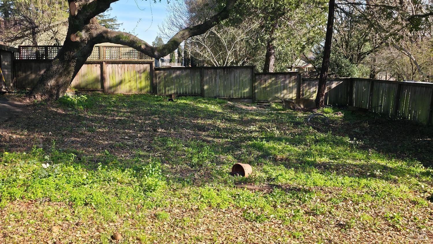 1420 Fulton Road Santa Rosa, CA 95403 - Photo 14 of 17 a backyard of a house with lots of green space
